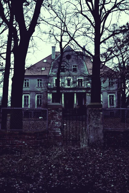 Zdjęcie z galerii